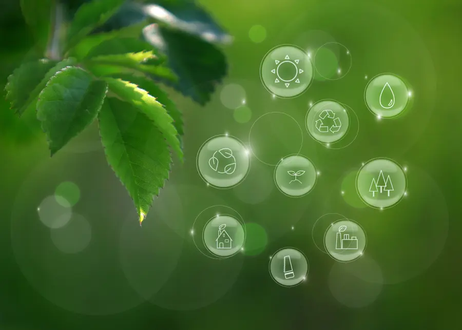 Green Procurement: What It Is & Why It Matters