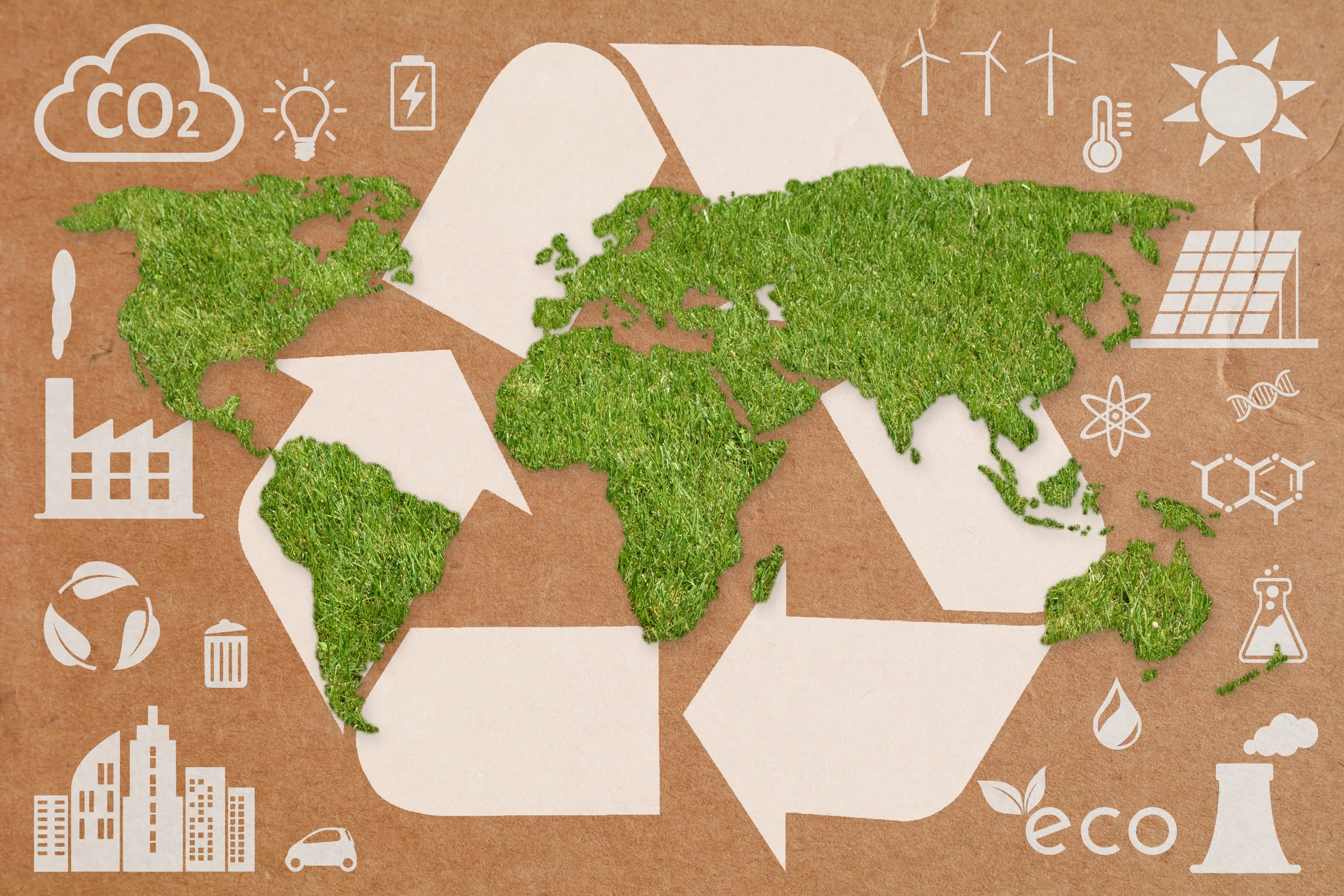 Why Most Net Zero Strategies Fail Before They Reach the Supply Chain